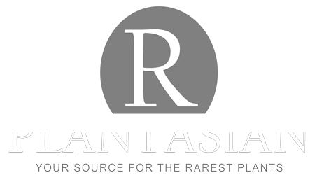 R PlantAsian