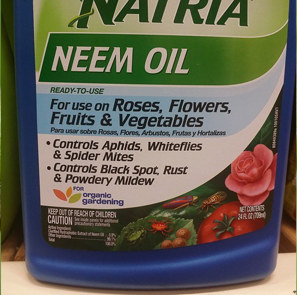 NEEM OIL