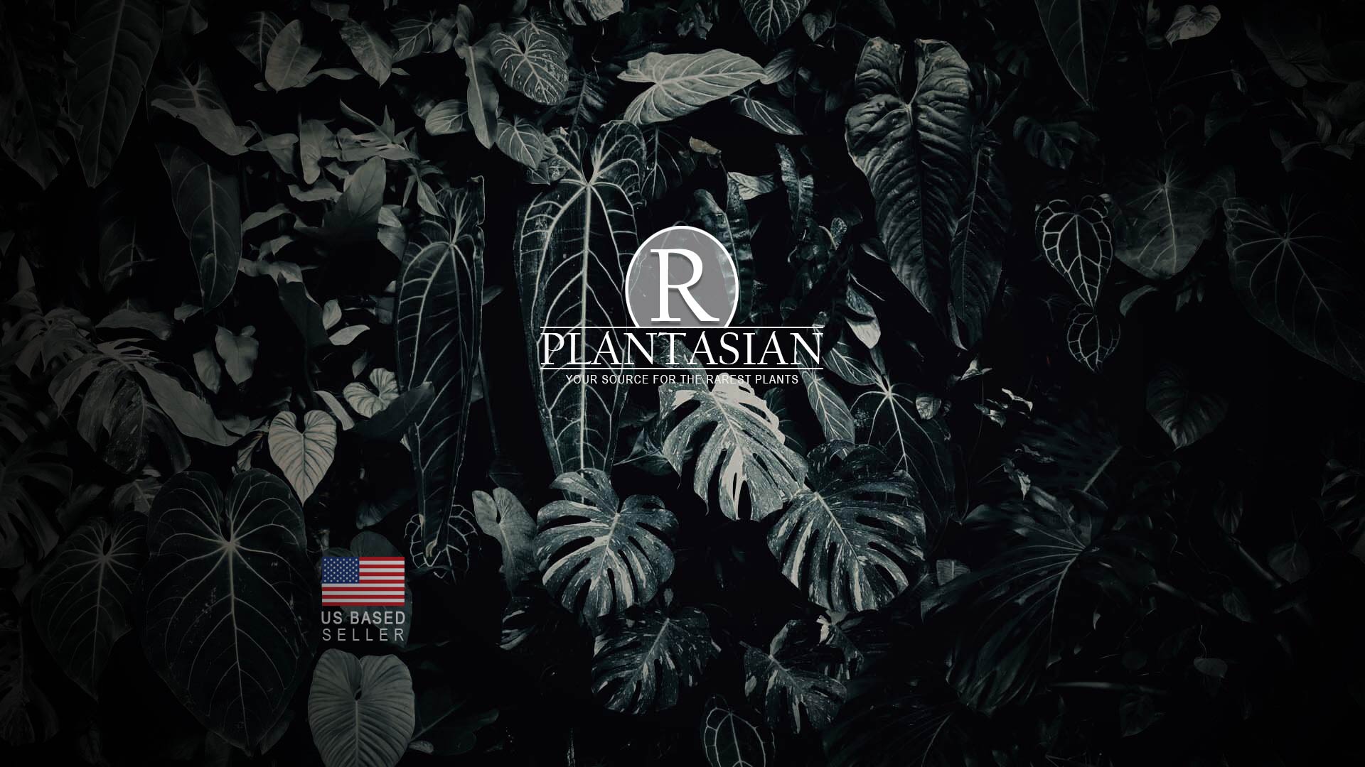 R-PLANTASIAN---RARE-AND-EXOTIC-PLANTS-SELLER